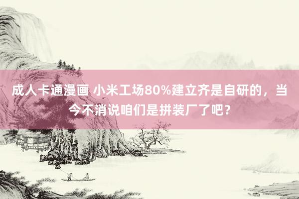 成人卡通漫画 小米工场80%建立齐是自研的，当今不消说咱们是拼装厂了吧？