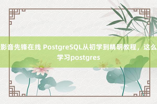 影音先锋在线 PostgreSQL从初学到精明教程，这么学习postgres