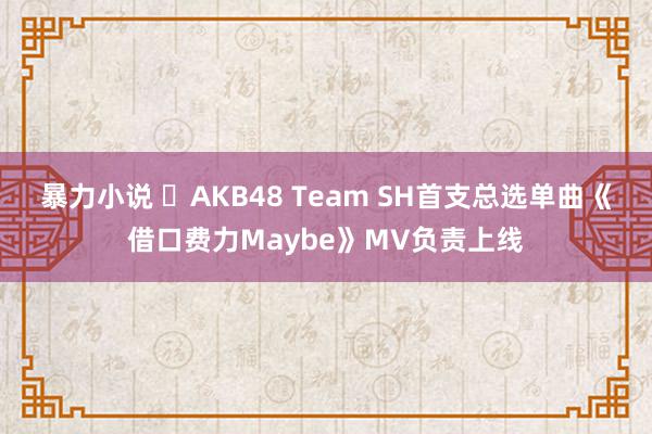 暴力小说 ​AKB48 Team SH首支总选单曲《借口费力Maybe》MV负责上线