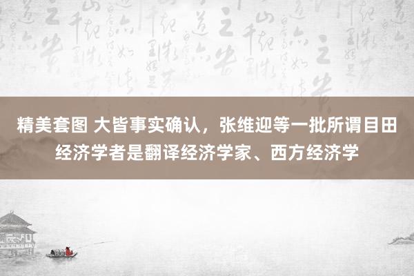 精美套图 大皆事实确认，张维迎等一批所谓目田经济学者是翻译经济学家、西方经济学