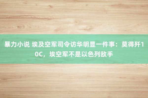 暴力小说 埃及空军司令访华明显一件事：莫得歼10C，埃空军不是以色列敌手