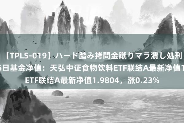 【TPLS-019】ハード踏み拷問金蹴りマラ潰し処刑 JUN女王様 7月26日基金净值：天弘中证食物饮料ETF联结A最新净值1.9804，涨0.23%