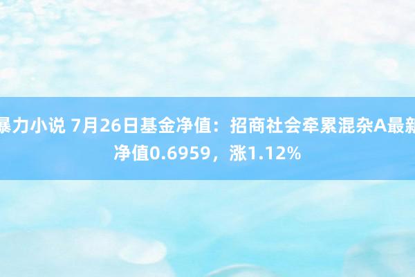 暴力小说 7月26日基金净值：招商社会牵累混杂A最新净值0.6959，涨1.12%