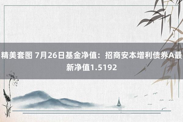 精美套图 7月26日基金净值：招商安本增利债券A最新净值1.5192