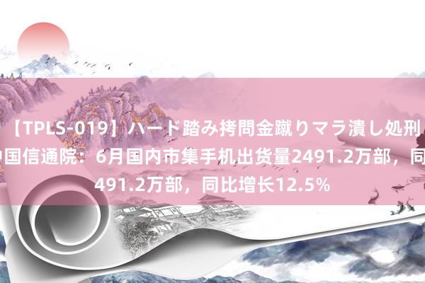 【TPLS-019】ハード踏み拷問金蹴りマラ潰し処刑 JUN女王様 中国信通院：6月国内市集手机出货量2491.2万部，同比增长12.5%