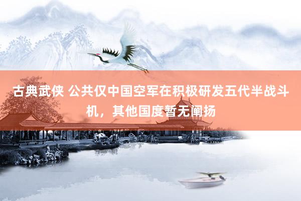 古典武侠 公共仅中国空军在积极研发五代半战斗机，其他国度暂无阐扬