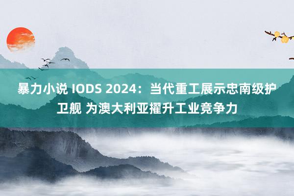 暴力小说 IODS 2024：当代重工展示忠南级护卫舰 为澳大利亚擢升工业竞争力