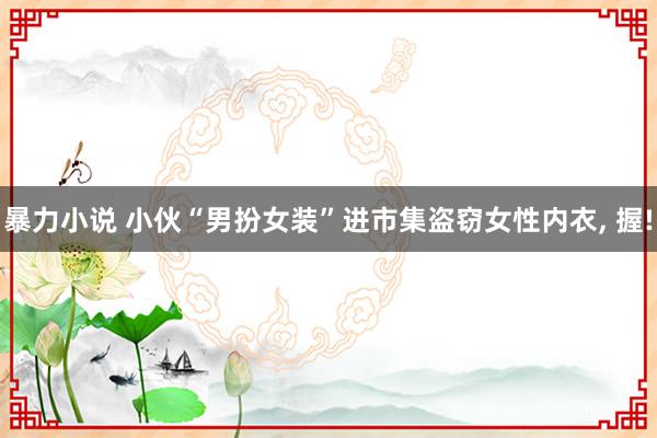 暴力小说 小伙“男扮女装”进市集盗窃女性内衣, 握!