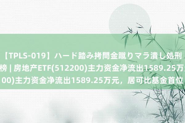 【TPLS-019】ハード踏み拷問金蹴りマラ潰し処刑 JUN女王様 ETF主力榜 | 房地产ETF(512200)主力资金净流出1589.25万元，居可比基金首位