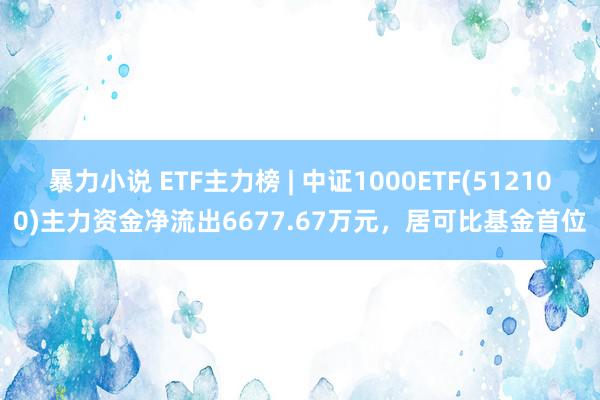 暴力小说 ETF主力榜 | 中证1000ETF(512100)主力资金净流出6677.67万元，居可比基金首位