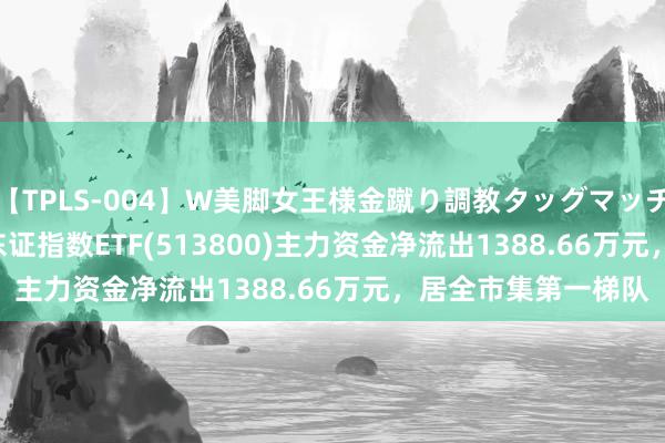 【TPLS-004】W美脚女王様金蹴り調教タッグマッチ ETF主力榜 | 日本东证指数ETF(513800)主力资金净流出1388.66万元，居全市集第一梯队