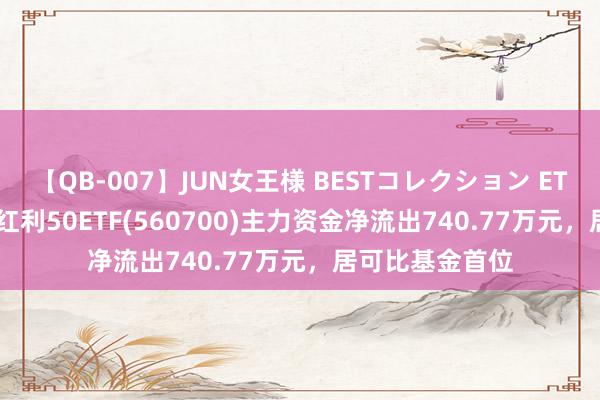 【QB-007】JUN女王様 BESTコレクション ETF主力榜 | 央企红利50ETF(560700)主力资金净流出740.77万元，居可比基金首位