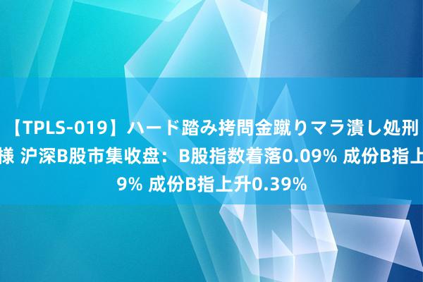 【TPLS-019】ハード踏み拷問金蹴りマラ潰し処刑 JUN女王様 沪深B股市集收盘：B股指数着落0.09% 成份B指上升0.39%