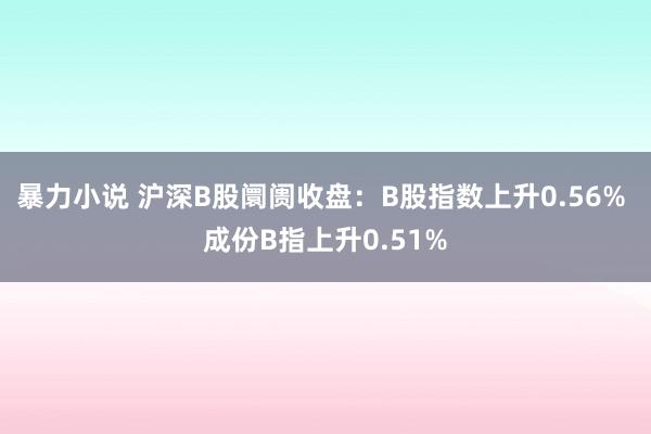 暴力小说 沪深B股阛阓收盘：B股指数上升0.56% 成份B指上升0.51%