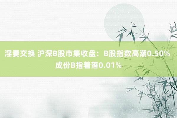 淫妻交换 沪深B股市集收盘：B股指数高潮0.50% 成份B指着落0.01%