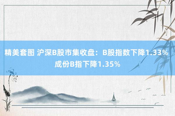 精美套图 沪深B股市集收盘：B股指数下降1.33% 成份B指下降1.35%