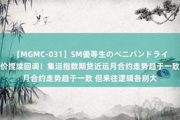 【MGMC-031】SM優等生のペニバンドライオーガズム 现货运价捏续回调！集运指数期货近远月合约走势趋于一致 但来往逻辑各别大