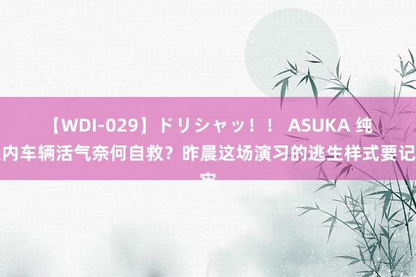 【WDI-029】ドリシャッ！！ ASUKA 纯正内车辆活气奈何自救？昨晨这场演习的逃生样式要记牢