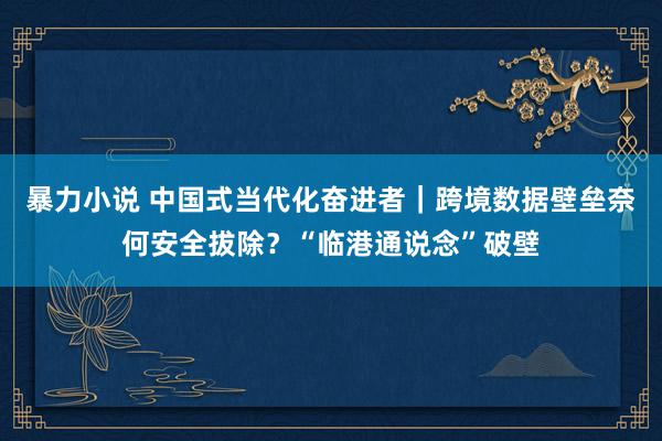 暴力小说 中国式当代化奋进者｜跨境数据壁垒奈何安全拔除？“临港通说念”破壁