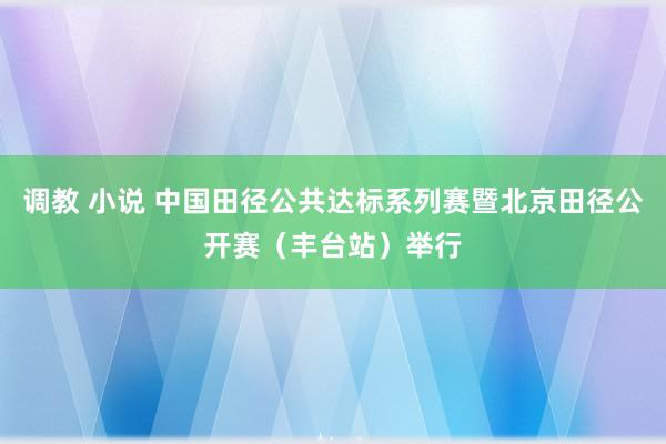 调教 小说 中国田径公共达标系列赛暨北京田径公开赛（丰台站）举行