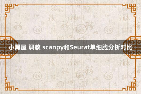 小黑屋 调教 scanpy和Seurat单细胞分析对比