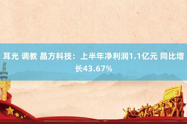 耳光 调教 晶方科技：上半年净利润1.1亿元 同比增长43.67%