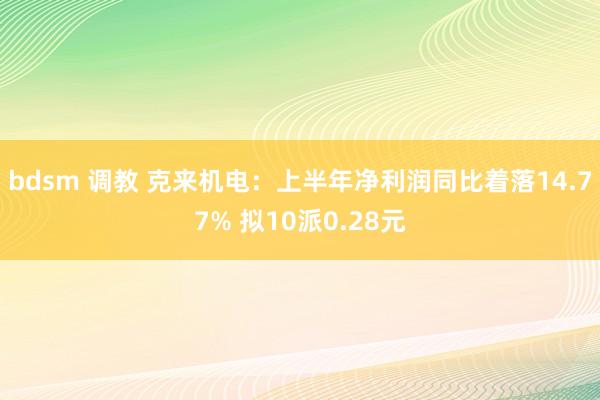 bdsm 调教 克来机电：上半年净利润同比着落14.77% 拟10派0.28元