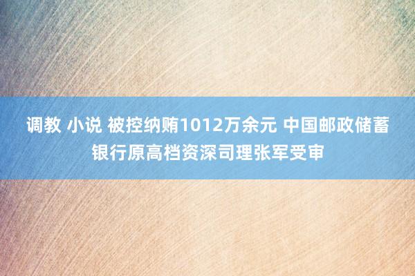 调教 小说 被控纳贿1012万余元 中国邮政储蓄银行原高档资深司理张军受审