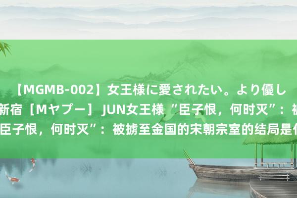 【MGMB-002】女王様に愛されたい。より優しく、よりいやらしく。 新宿［Mヤプー］ JUN女王様 “臣子恨，何时灭”：被掳至金国的宋朝宗室的结局是什么样？