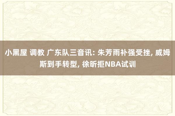 小黑屋 调教 广东队三音讯: 朱芳雨补强受挫, 威姆斯到手转型, 徐昕拒NBA试训