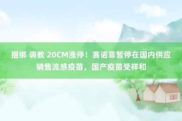 捆绑 调教 20CM涨停！赛诺菲暂停在国内供应销售流感疫苗，国产疫苗受祥和