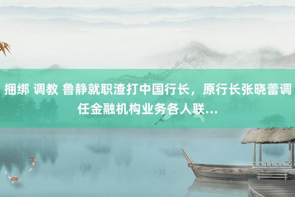 捆绑 调教 鲁静就职渣打中国行长，原行长张晓蕾调任金融机构业务各人联...